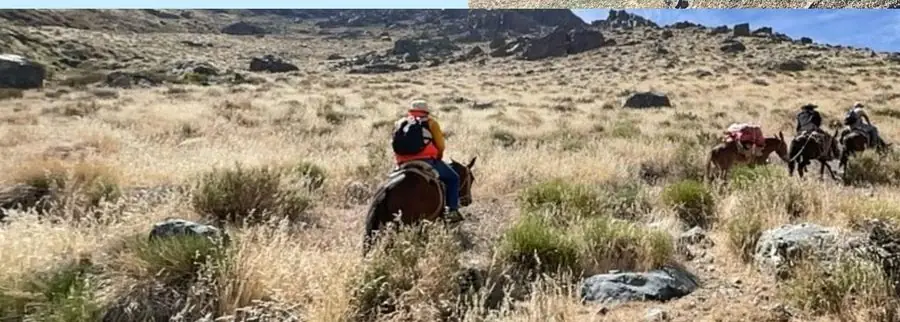 Reconocimiento a caballo en el prospecto Farellón