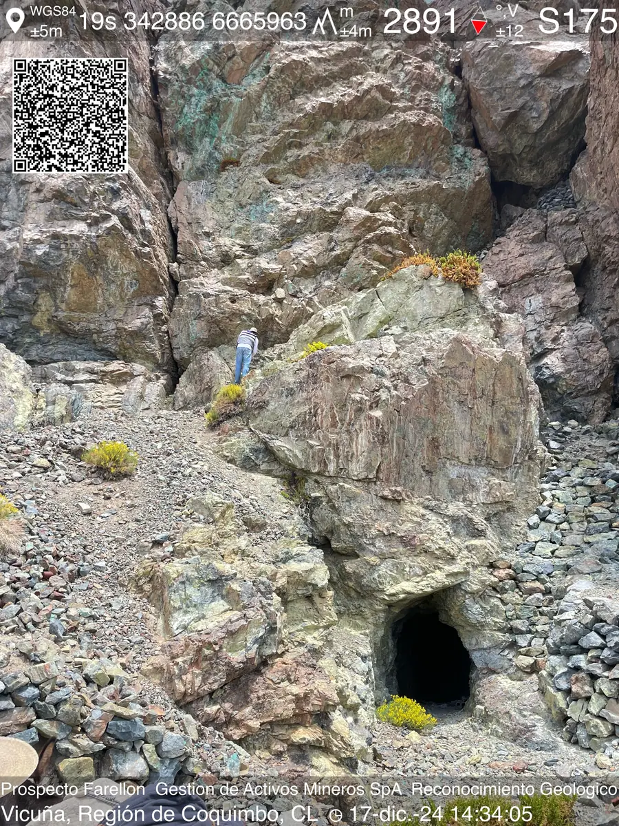 Vetilla mineralizada, Prospecto Farellón